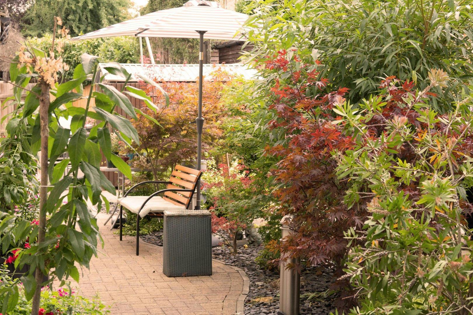 Garden at Kew House Care Home in Kingston upon Thames, Greater London 