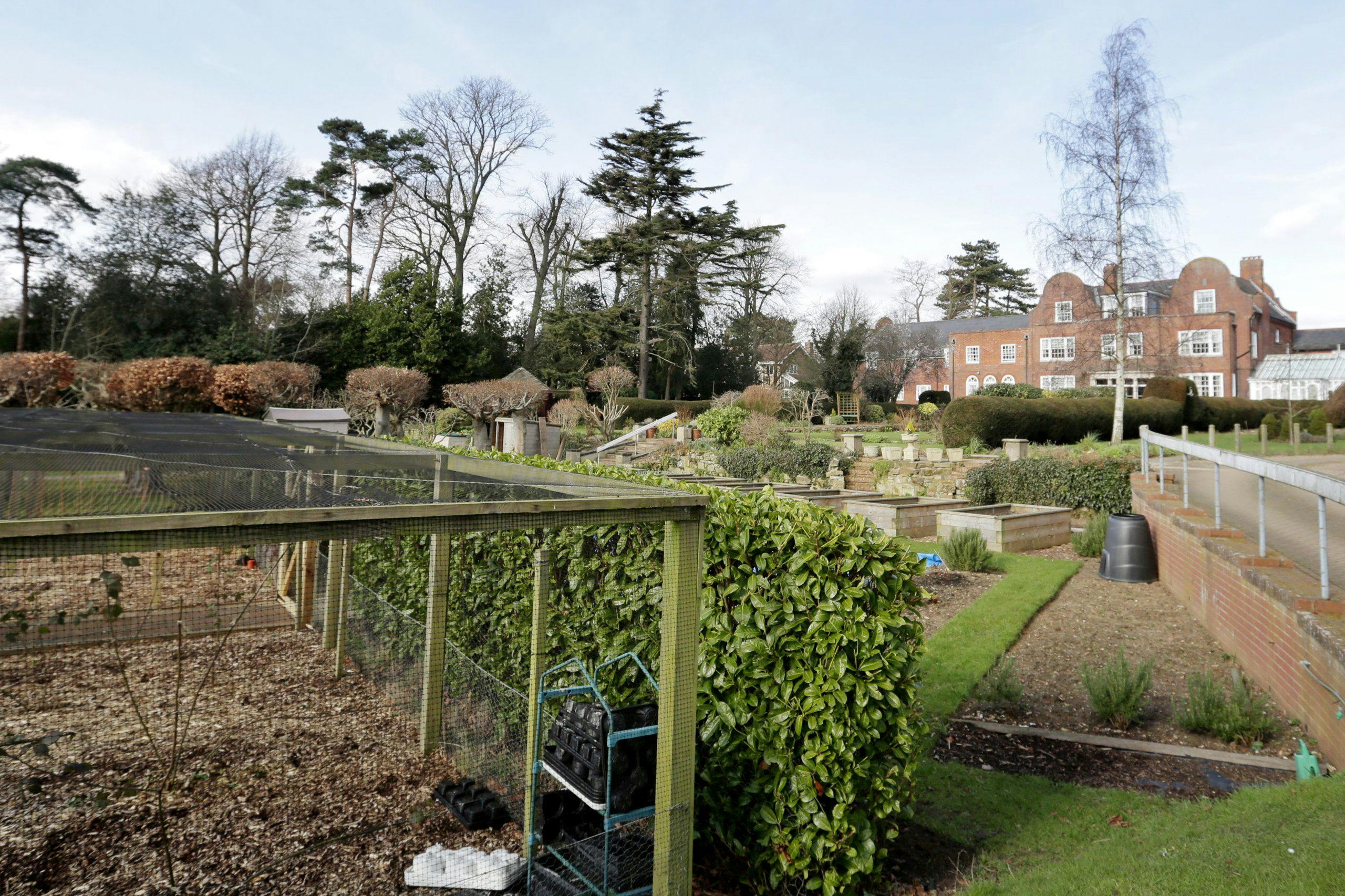Vegetable Patch and Garden at Broadlands Care Home, Lowestoft, Suffolk