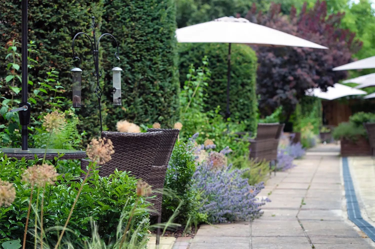 Garden at Galsworthy Care Home in Kingston upon Thames, Greater London