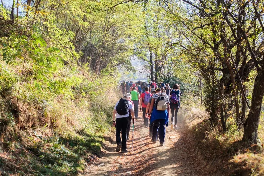 Group of people hiking through the countryside