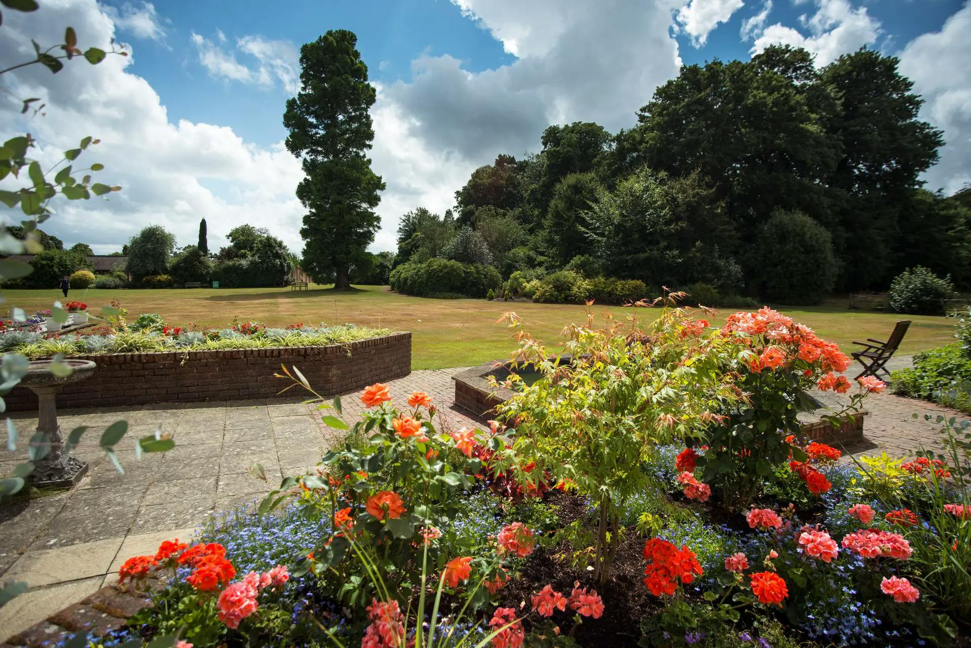 Garden at Knowle Park Care Home in Surrey, South East