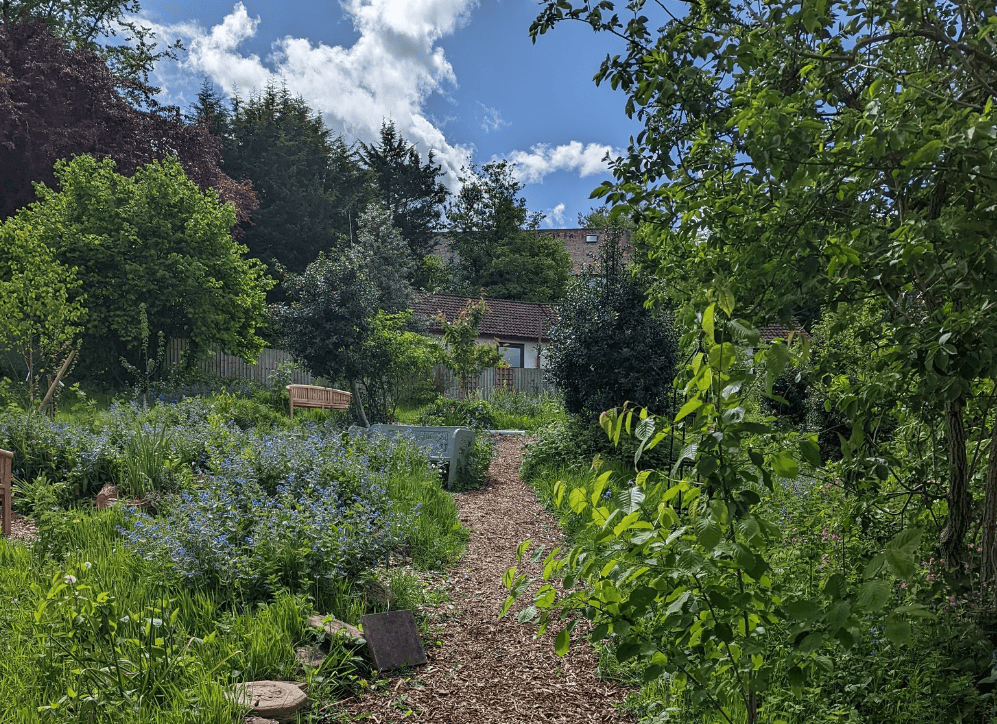 Garden of Hillcrest care home in Frodsham, Cheshire
