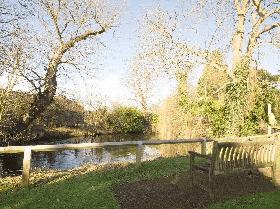Garden of Hatfield Peverel in Chelmsford, Essex