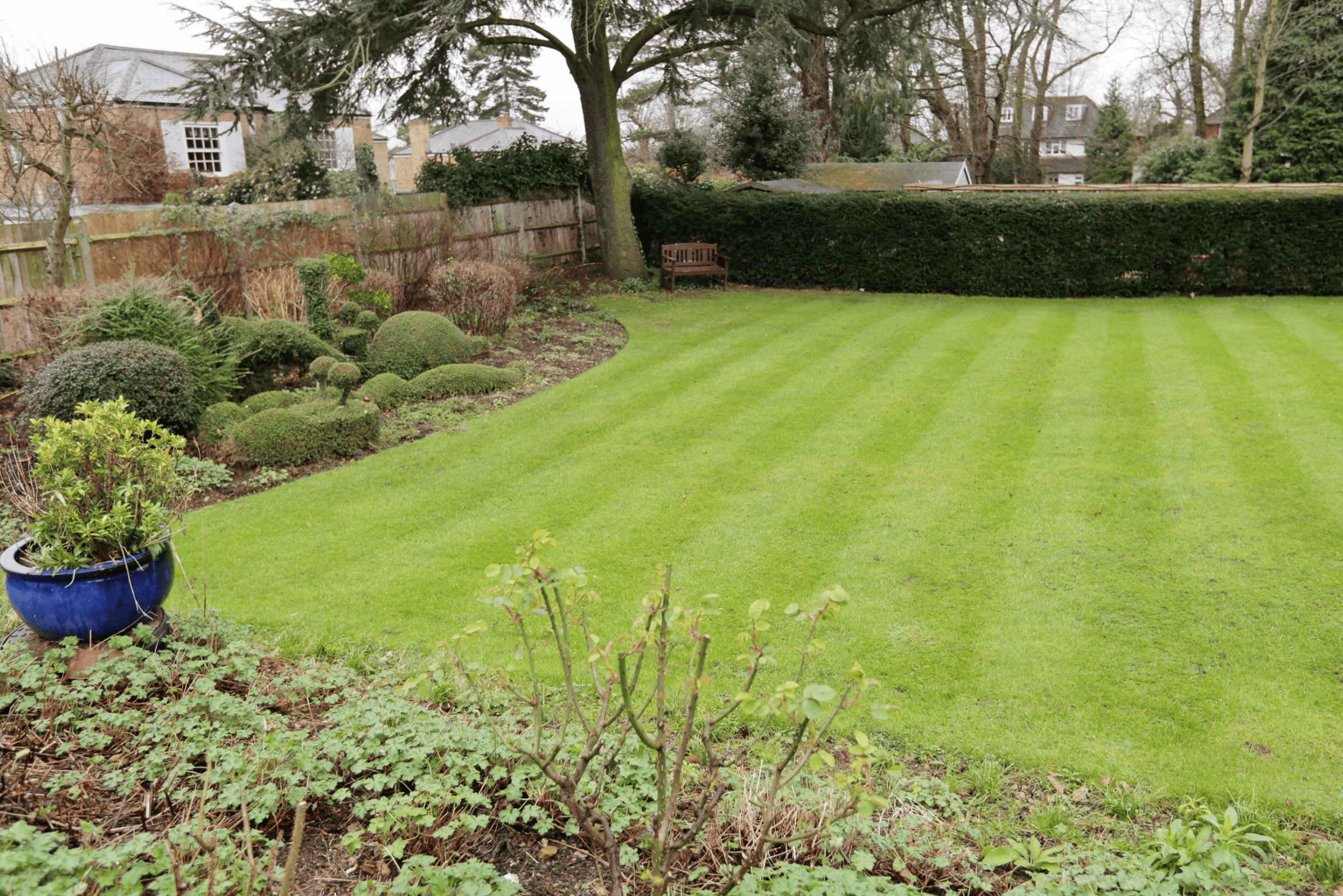 Garden of Speirs House in New Malden, London