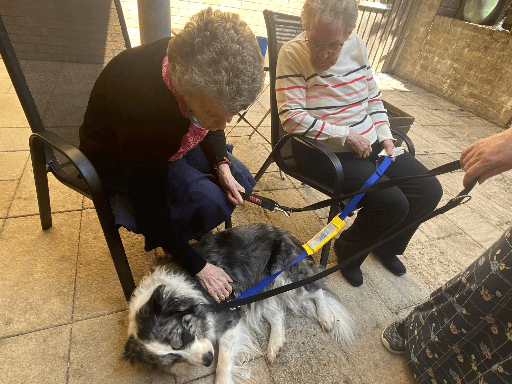 Pets of Mossview care home in Lochgelly, Scotland