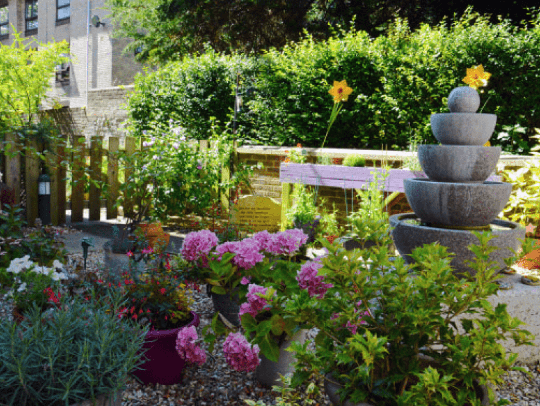 Garden of Somerleigh Court care home in Dorchester