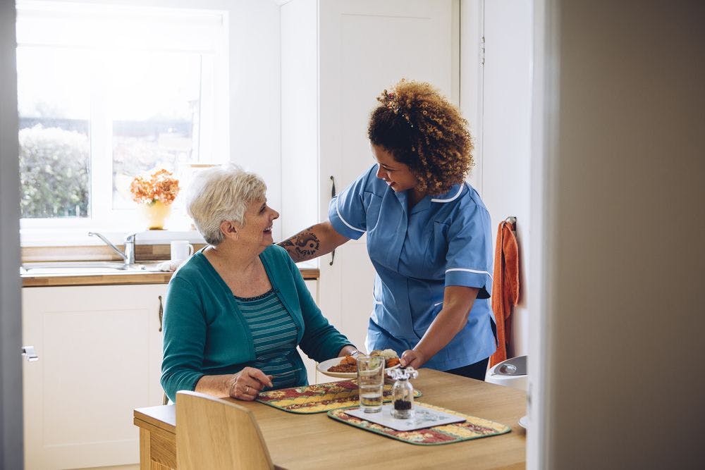 Woman providing home care to older lady