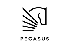 Pegasus Leyton Road Brand Icon